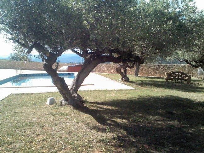 L'Ermita Casa Ripo Hotell Vall dʼAlba Exteriör bild